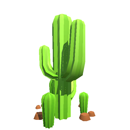 Cactus Cluster 05